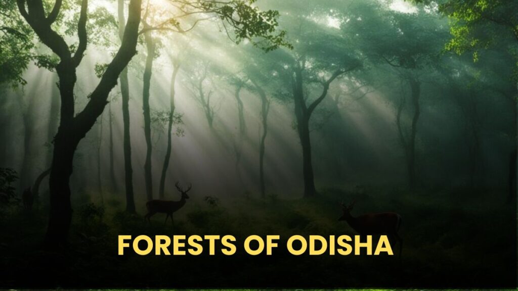 FORESTS OF ODISHA