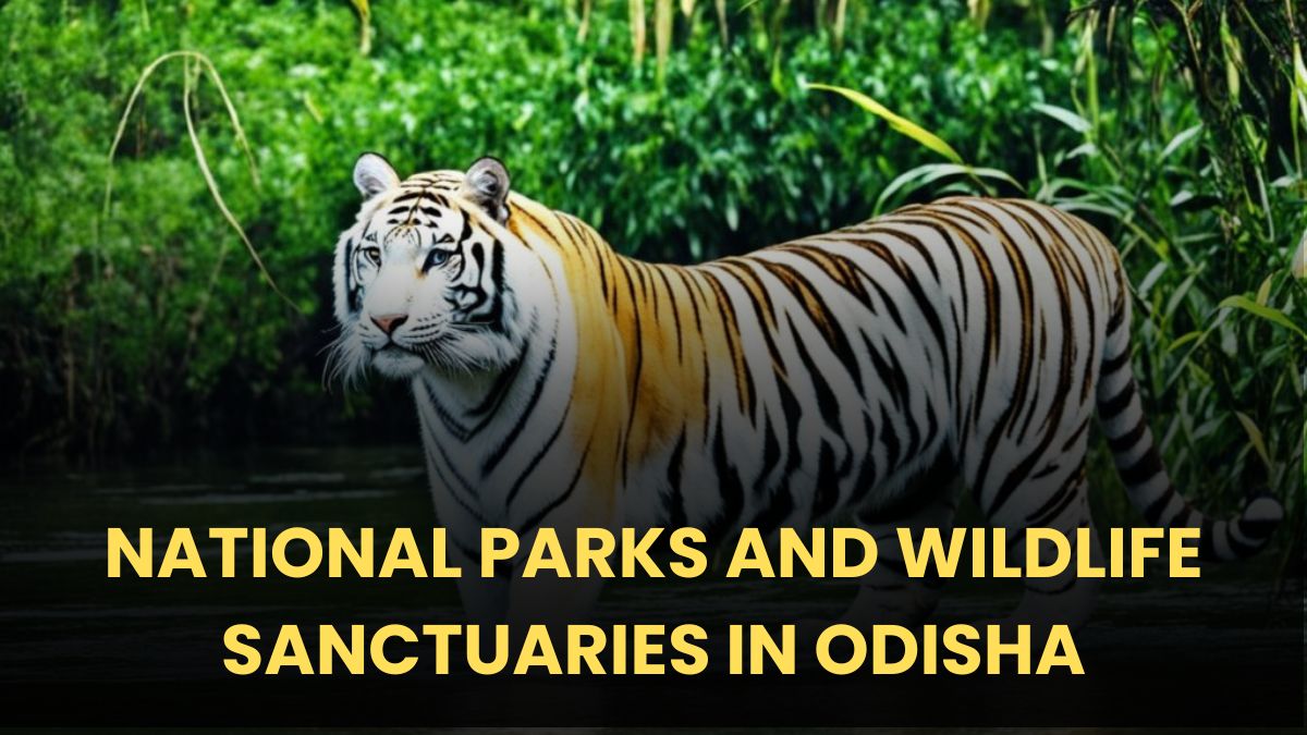 NATIONAL PARKS AND WILDLIFE SANCTUARIES IN ODISHA